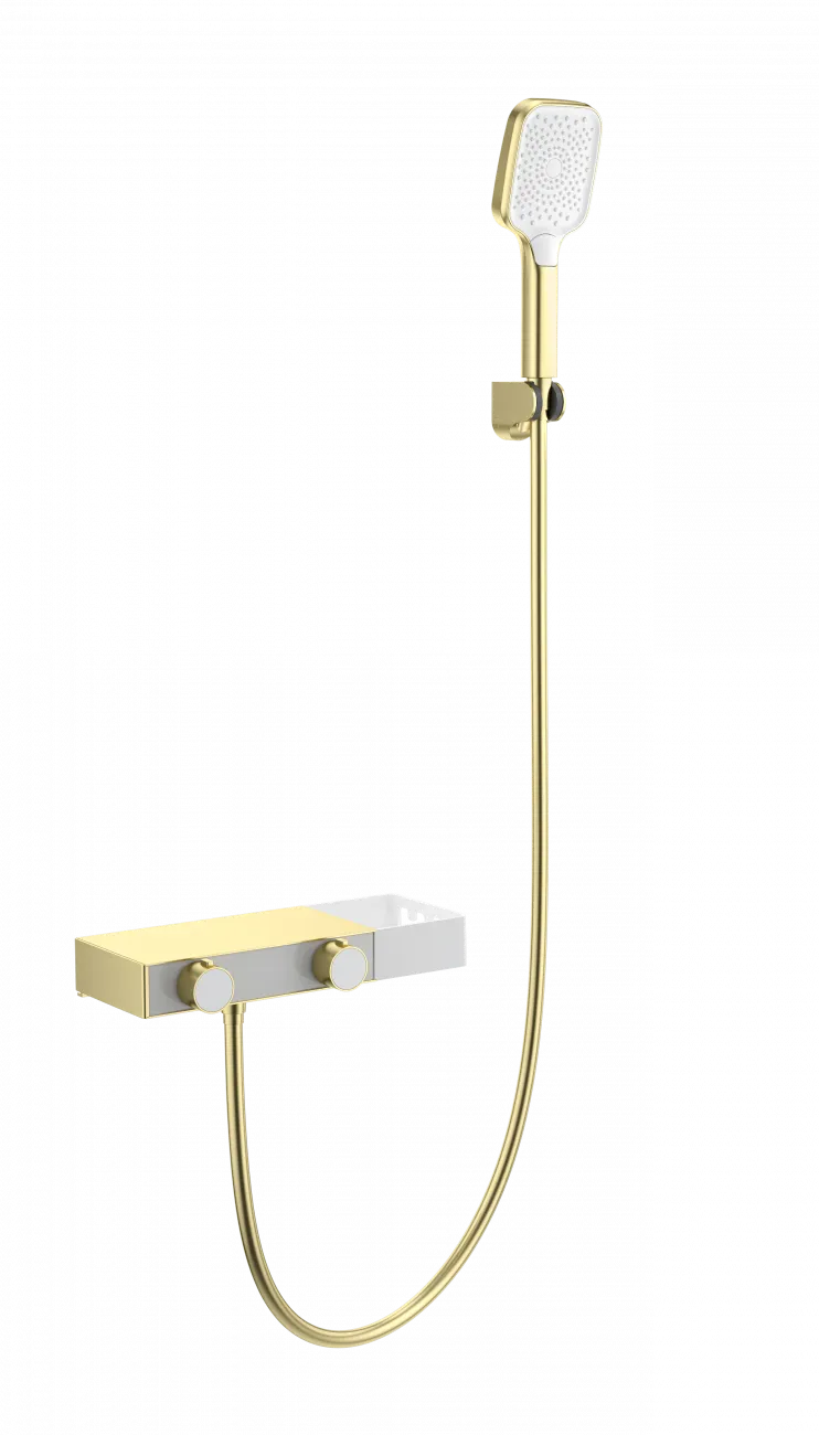 WW-B2551-BG